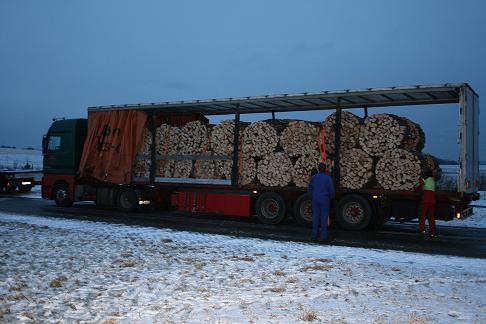 Holzverladung 0941.JPG