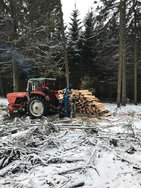 Brennholz_1.jpg