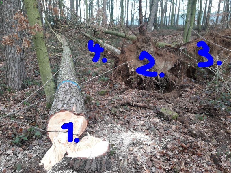 4 auf einem Streich.jpg