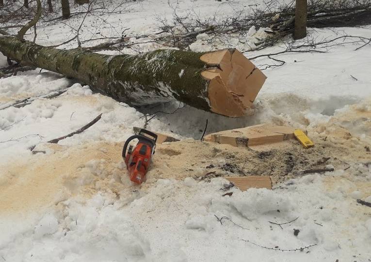 Waldarbeitschnee1.jpg