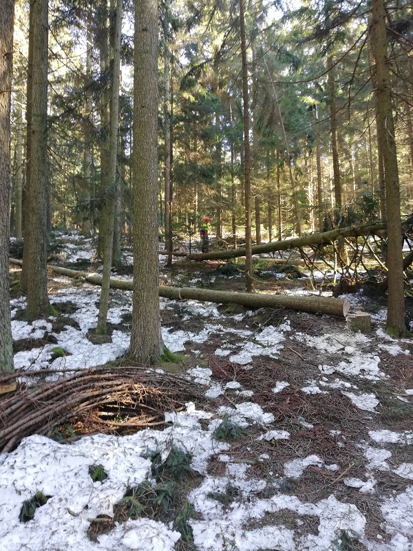 IMG_20190223_094744 klein.jpg