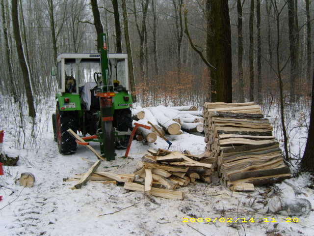 wald u. Forst 156.jpg
