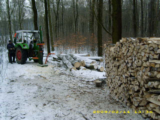 wald u. Forst 159.jpg