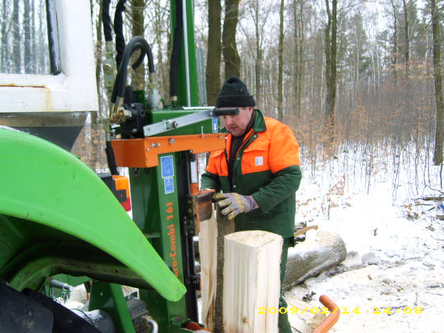 wald u. Forst 163.jpg