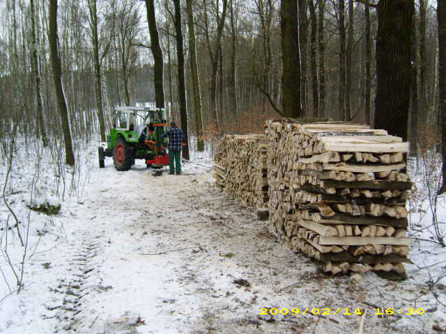 wald u. Forst 172.jpg