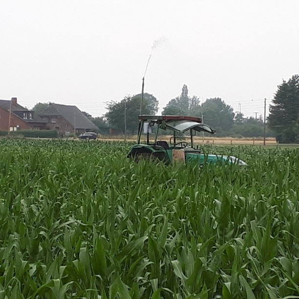 20190728_140657-612x612 (002).jpg