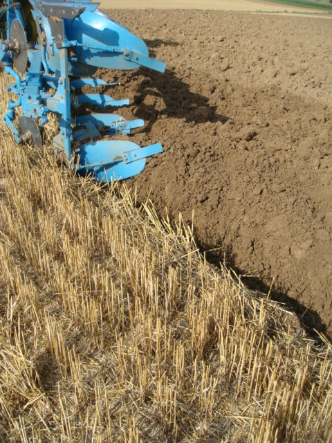 Pflügen vor der Rapssaat.JPG