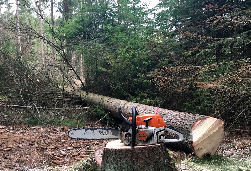 IMG_1180 (Bearbeitet).JPG