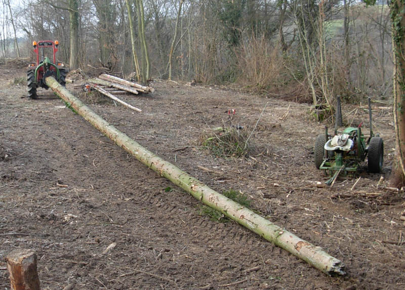 03 der erste Stamm-2.jpg