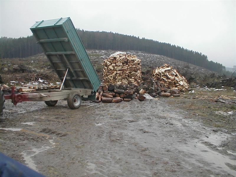 Bild 008 (Medium).jpg