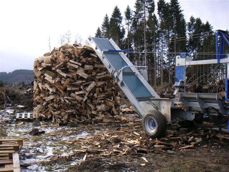 Bild 011 (Medium).jpg