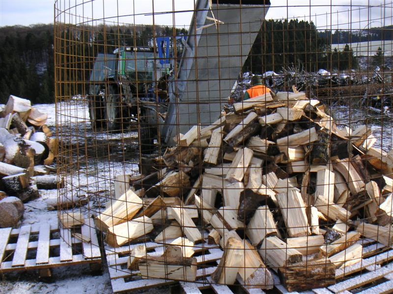 Bild 006 (Medium).jpg