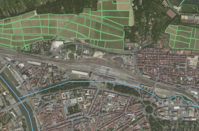 Würzburg Gewässerrandstreifen.JPG