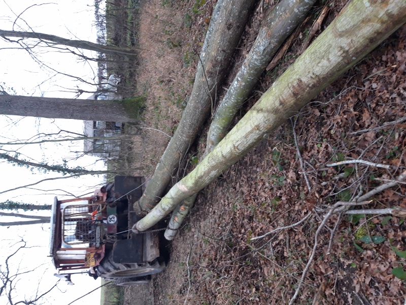 20200114_165536 (600x800).jpg