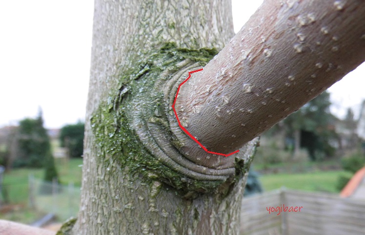 Schnittführung Astring 1.jpg