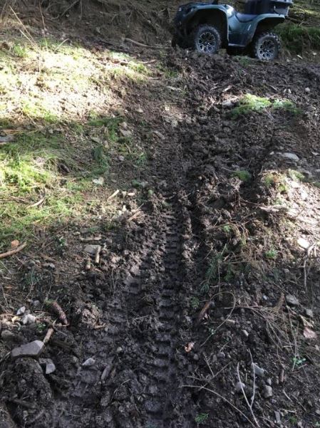 2020-03-17 21_07_36-WhatsApp.jpg