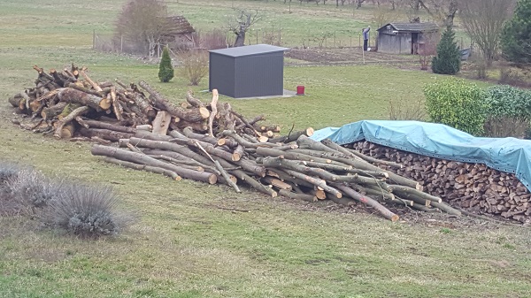 Holz klein.jpg