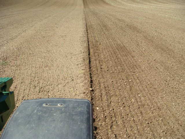 Vorgewalztes Saatbett.JPG