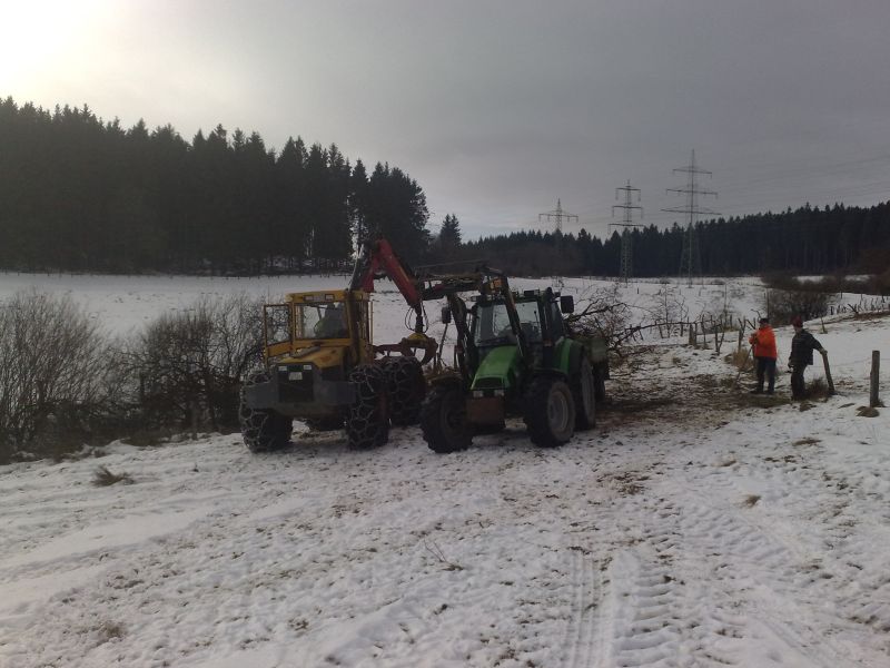 01Reisig entfernen.jpg