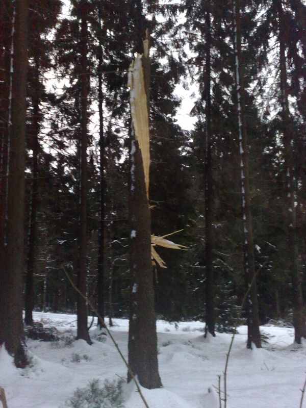 06Der verdammte Wind.jpg