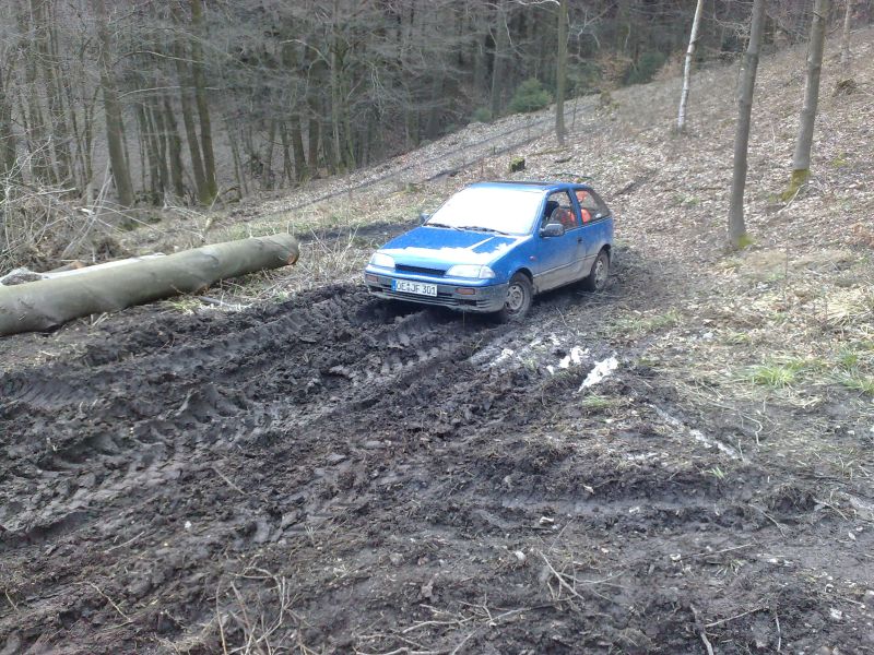 Meine Motorsägenkiste.jpg