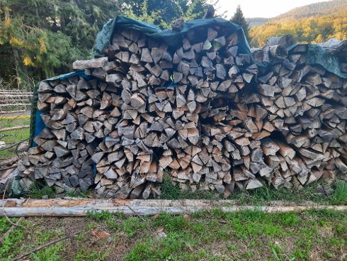 bündel (490x368).jpg