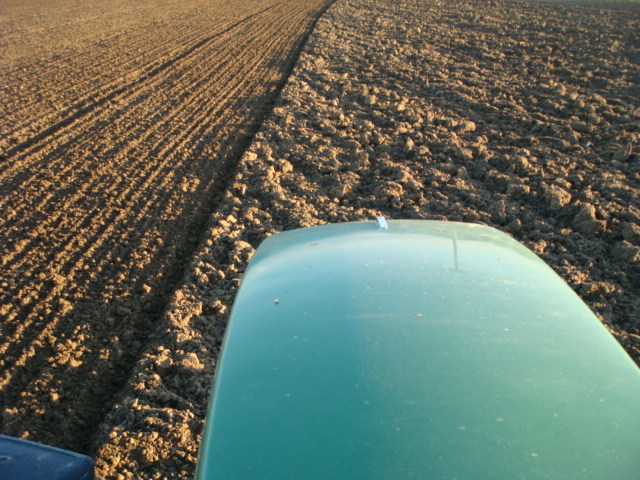 Weizensaat 2020 nach dem Pflug.JPG