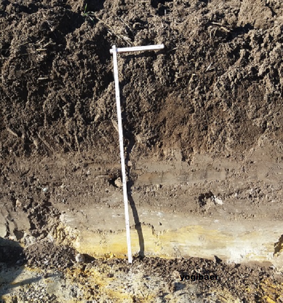 Weizenfeld, südlich Stendal.jpg