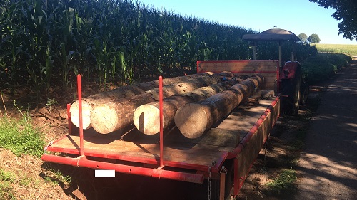 3A6D6A69-1617-43F2-A06B-4042D1554B3D - Kopie.JPG