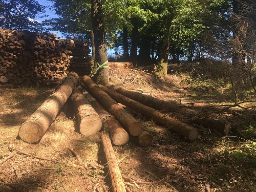 IMG_4136 - Kopie.JPG