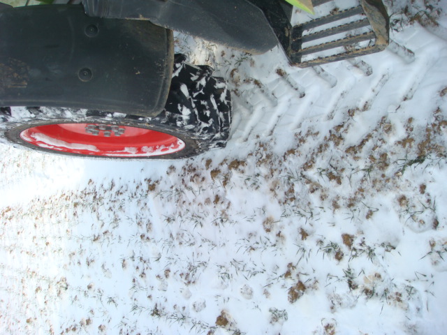 1. Schneegabe 2 Spuren im Schnee.JPG