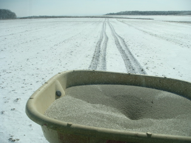 Minimale Bodenschädigung .JPG