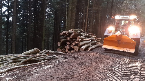 Brennholz Poltern.jpg