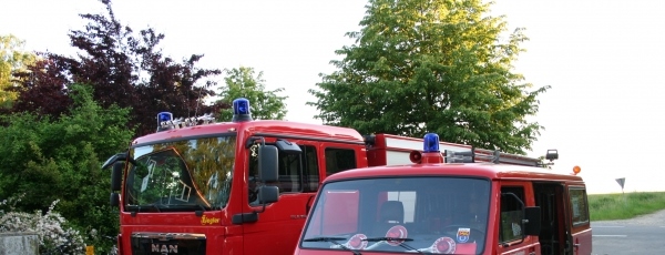 TSF-W_Auslieferung_a.jpg