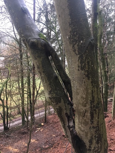 IMG_5598 - Kopie.JPG