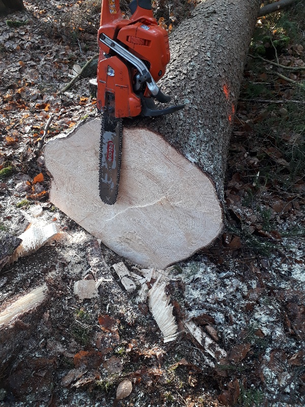 20201231_112219_copy_600x800.jpg