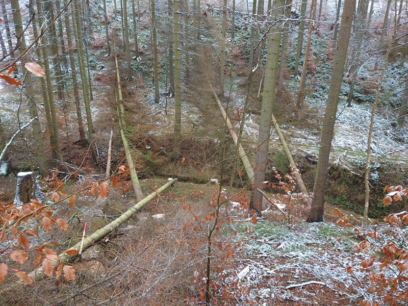 DSC_0102.JPG