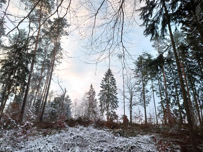 DSC_0167.JPG