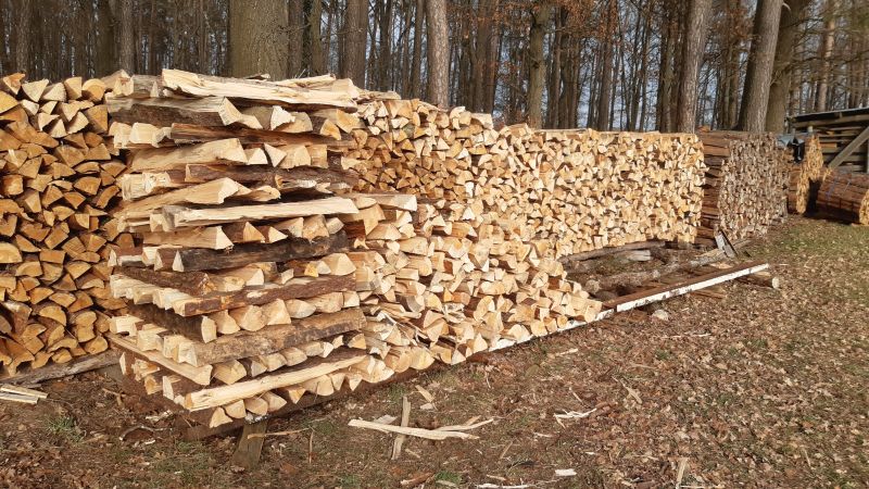 Holzlagerung am Waldrand.jpg