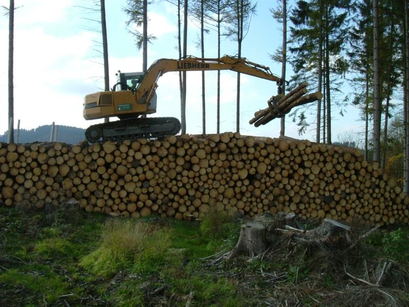 Holz3klein (Medium).jpg