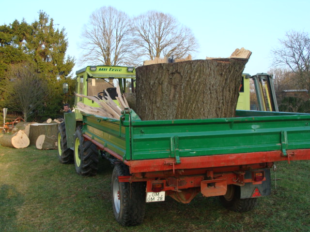 Holz 03.04.09 003.jpg