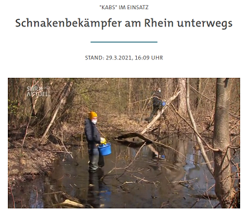 Insekten_Schutz_Naturschutz.png