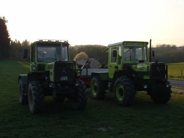 Holz 03.04.09 002.jpg