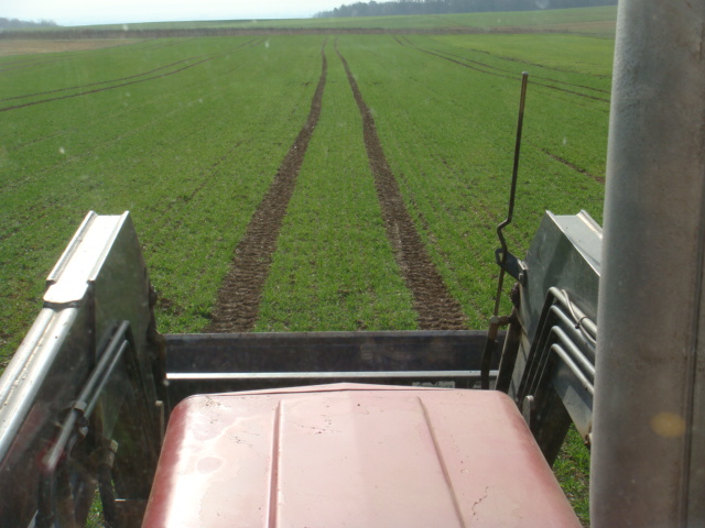 Elixer 1.4.2021 .JPG