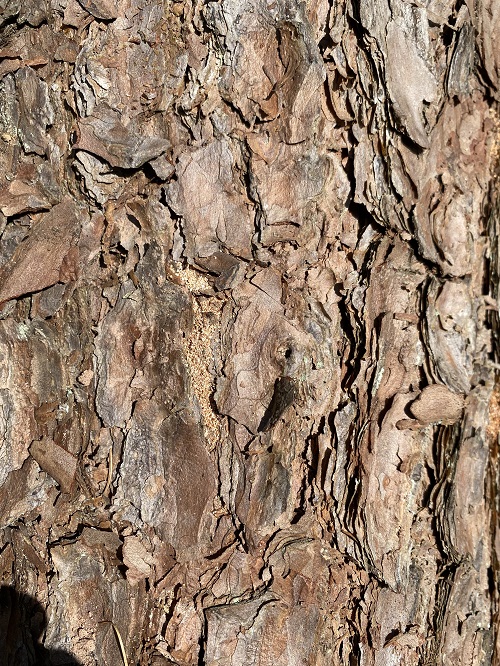 IMG_6697 - Kopie.jpg