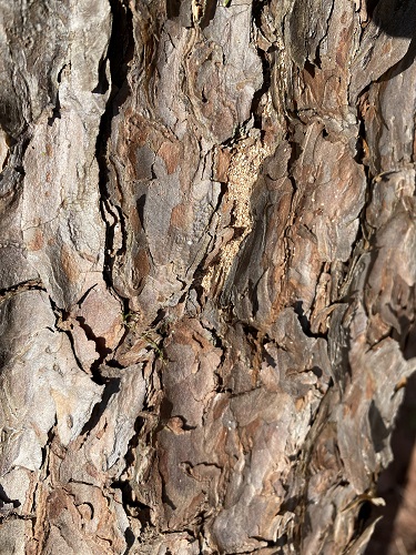 IMG_6698 - Kopie.jpg