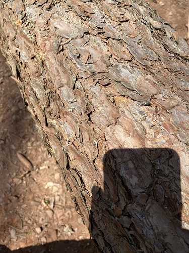 IMG_6699 - Kopie.jpg