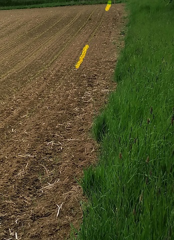 Grenze nach Markierung - 3.jpg