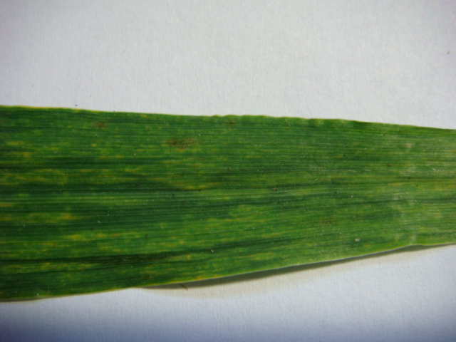 19.05.2021 Highlight.JPG