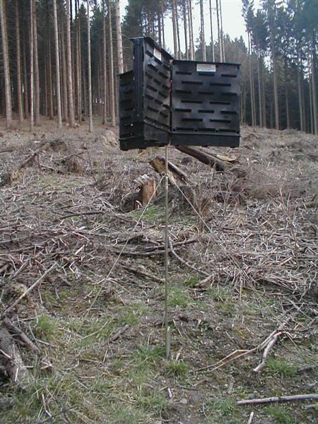 3-fach Falle (Medium).jpg